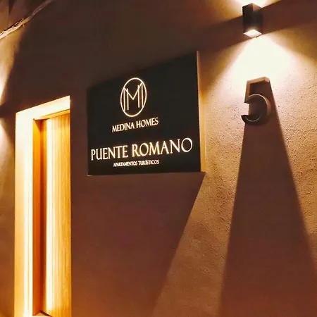 Medina Homes Puente *